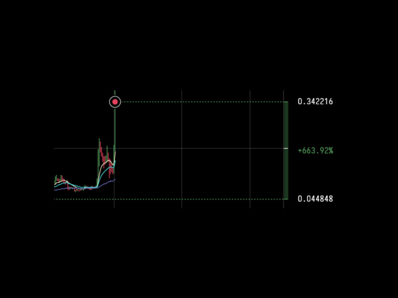 xrp gain Market Reader